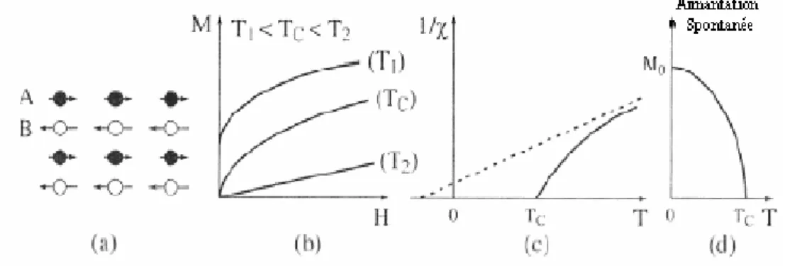 Figure I .11 :(a) Arrangement des moments dans les corps ferrimagnétiques; 