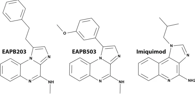 Fig 1. Chemical structures of studied compounds. The imidazo[1,2-a]quinoxalines family, nick-named imiqualines, was developed from structural analogy with imiquimod
