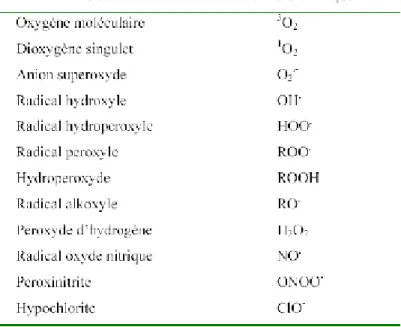 Tableau : Espèces réactives de l’oxygène. [24] 