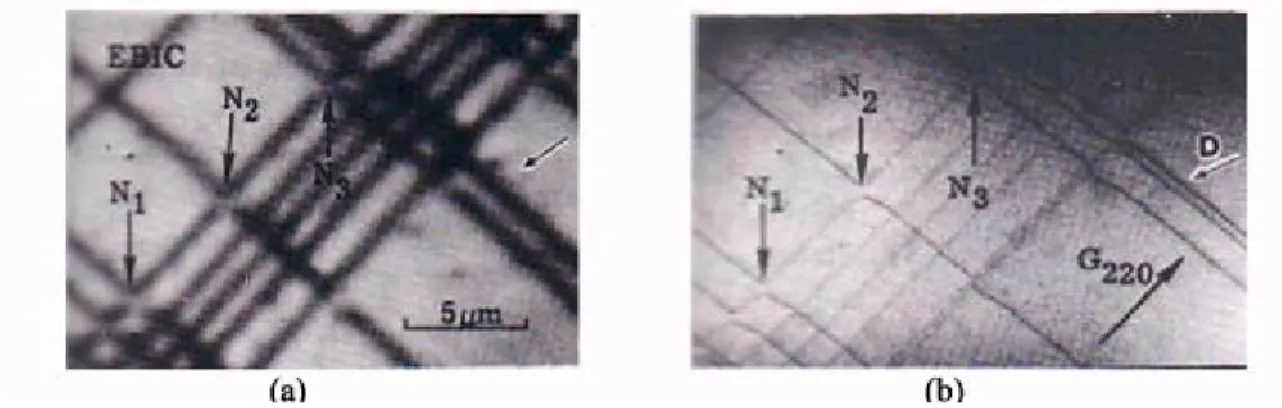 Figure  (2.8) :  Exemple  d'obtention  des  images  par  SDLTS  (spectroscopie  en  balayage  des transitoires associés aux niveaux profonds) (a) et EBIC (b) pour GaAs-GaI