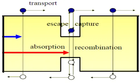 Figure III-2 : dynamique des porteurs dans le puits quantique [29] 