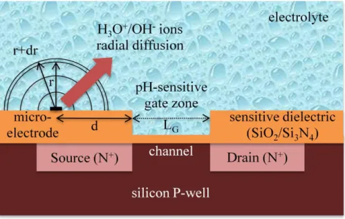 Figure  1.  Cross-section  of  the  ElecFET  device  describing  the  one-dimensional  model  in  radial coordinate (scales are not respected for easiness of presentation) 
