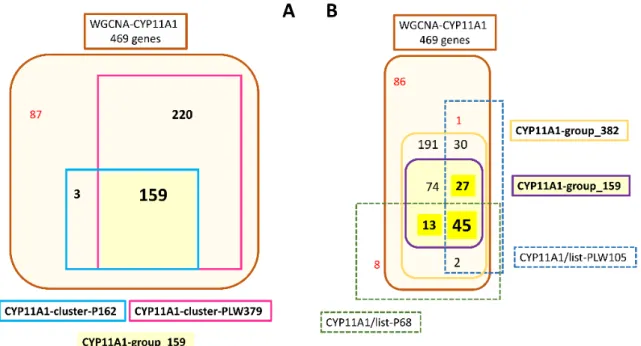 Figure 5. Analysis of genes likely to belong to CYP11A1-group. (A) The HCA analyses of HCAs led to defining two clusters  around CYP11A1: CYP11A1-cluster-P162 and CYP11A1-cluster-PLW379 from WGCNA-CYP11A1
