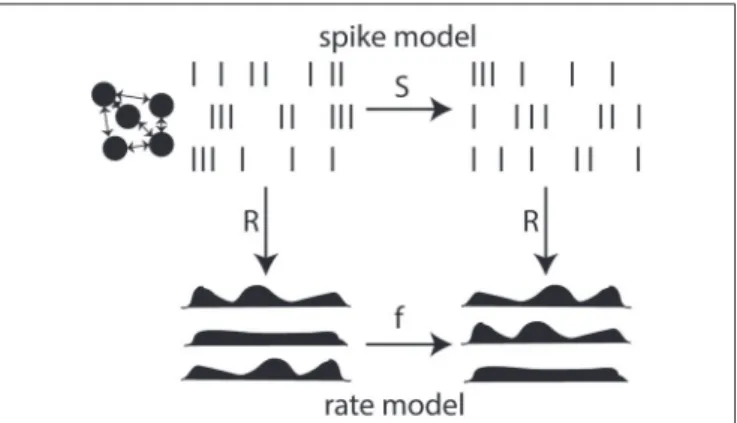 FIGURE 6 | Reduction of a spike-based model to a rate-based model.