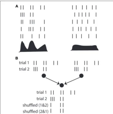 FIGURE 4 | The timescale argument. (A) Responses of a neuron over repeated trials, where the firing rate (PSTH shown below) varies on a fast (left) or slow (right) time scale