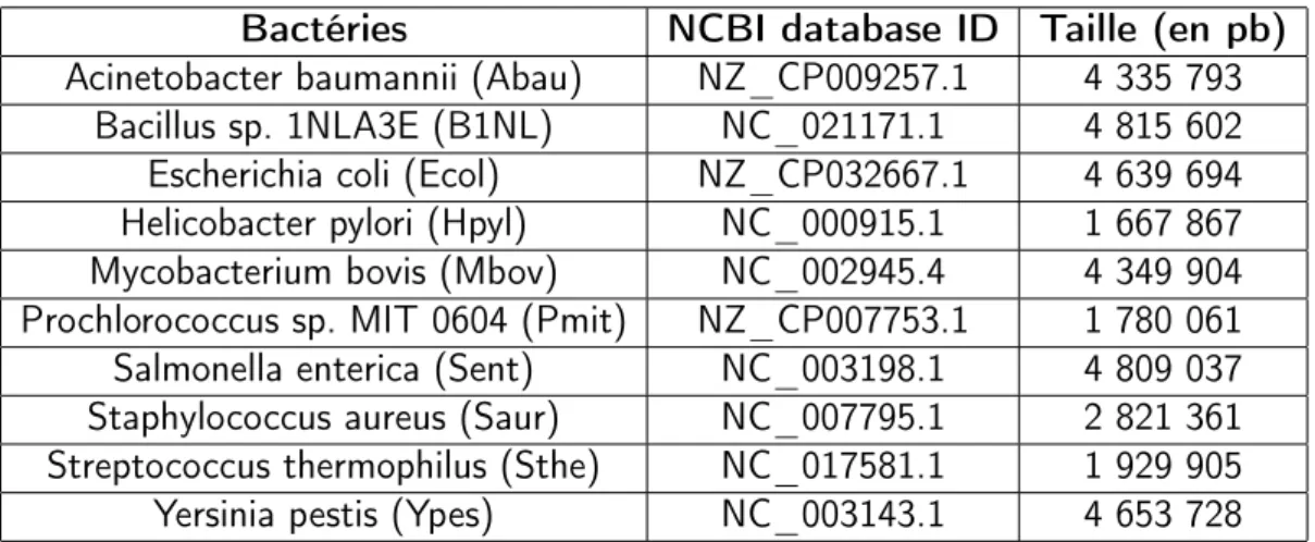 Table 2.1 – La première colonne représente le nom de la bactérie et le code raccourcis associé, la seconde donne l’identifiant du génome dans la base de donnée du NCBI et la dernière donne la taille de ce génome en paires de bases.