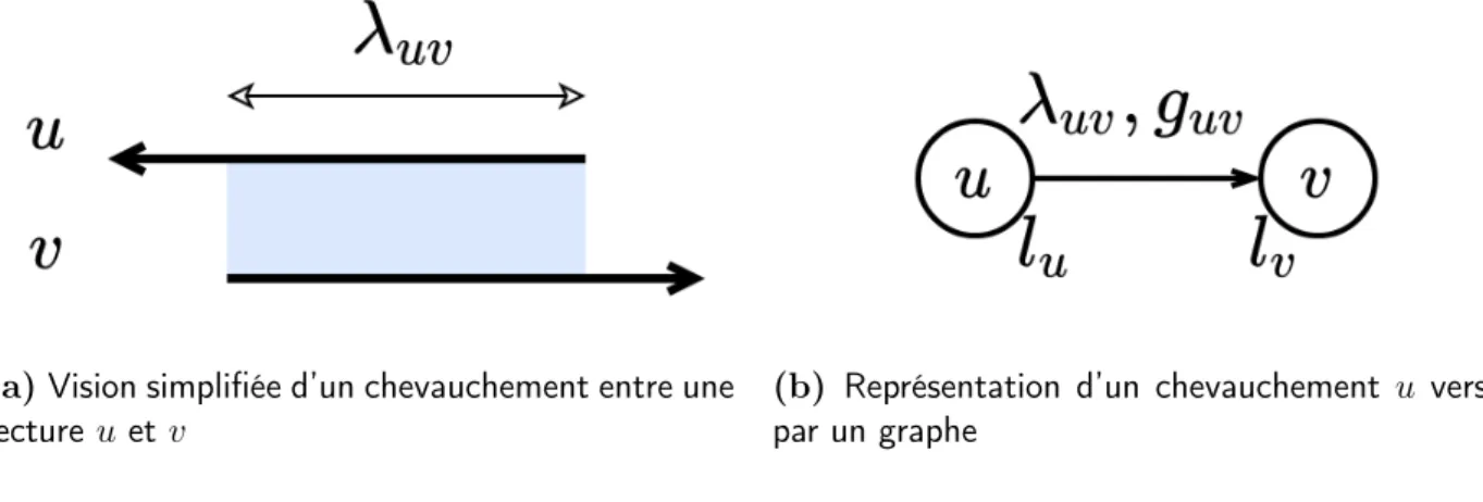 Figure 3.2 – Deux lectures u et v, de longueurs respectives l u et l v qui se chevauchent.