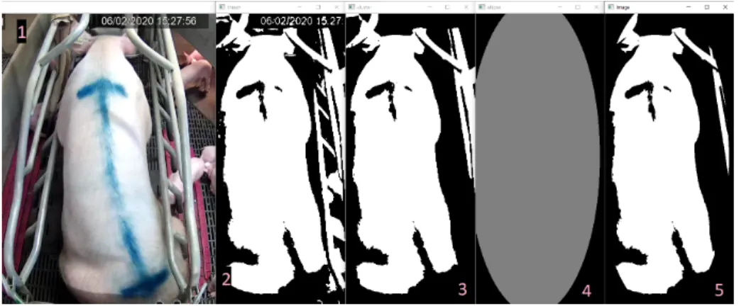 Figure 5: les différentes étapes de la segmentation. 1 : La frame originale. 2. Seuillage binaire.