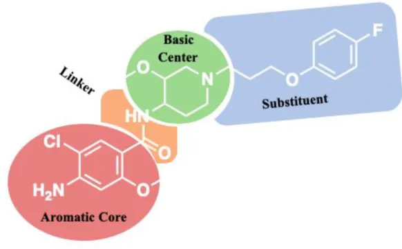 Figure 2: General structure of the 5-HT 4 R ligands that entered clinical trials