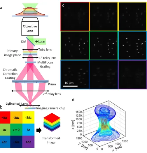 Fig.  1.  (a)  Schematic  illustration  of  the  3D-MF-SMLM  optical  setup.  The  MFG  (multifocus  grating) splits the fluorescence light into 9 diffractive orders
