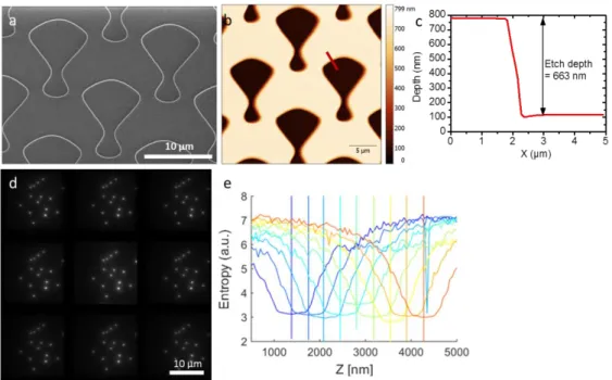 Fig. 2. Characterization of the multiple focus grating. (a) Scanning electron microscopy and (b)  atomic force microscopy (height) images of the binary MFG designed for 9 planes microscopy