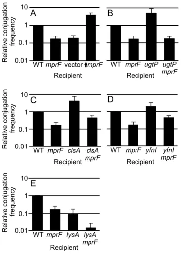 Figure 2. Effects of mutations in recipients on acquisition of ICEBs1. The relative conjugation  frequency (y-axis) is shown for each of the indicated recipients (x-axis)