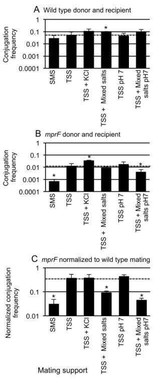 Figure 4. The chemical composition of the mating support affects conjugation. Standard filter matings  were performed on supports with different chemical compositions