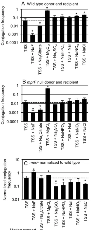 Figure 5. Some salts enhance conjugation of wild type, but not mprF cells.  Filter matings were performed  as described in Materials and Methods