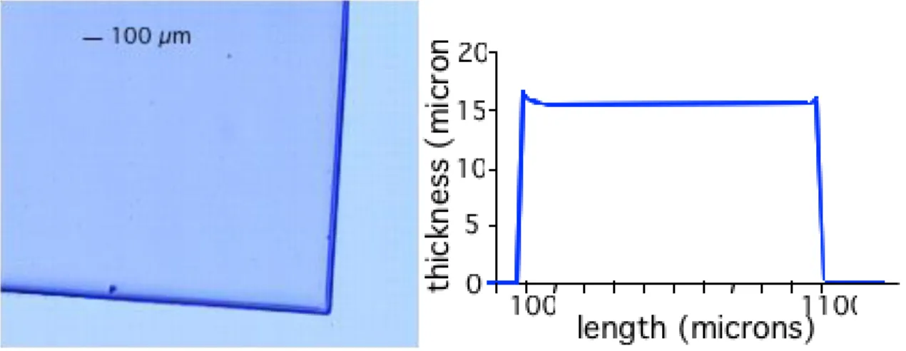 Figure 5: optimized PSX pattern (dimensions: 1000 x 1000 x 15 m 3 ) picture and profile 
