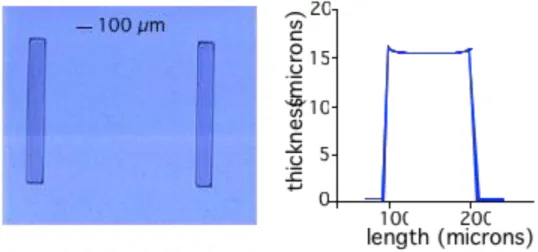 Figure 6: optimized PSX pattern (dimensions: 800 x 100 x 15 m 3 ) picture and profile 