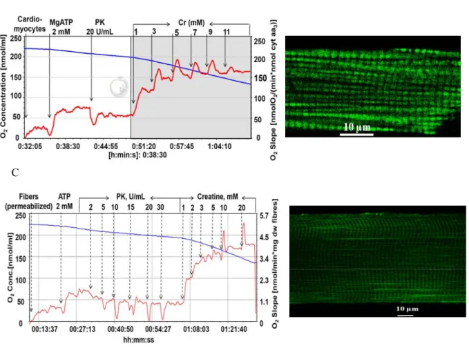 Figure 2. Cont.  