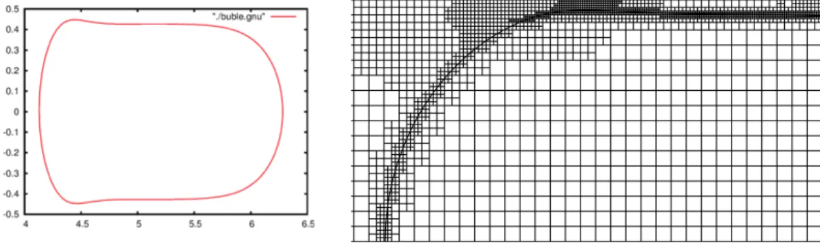 Figure 2: (left) Typical bubble in the stationary state. (right) Grid refinement at the rear of the bubble.