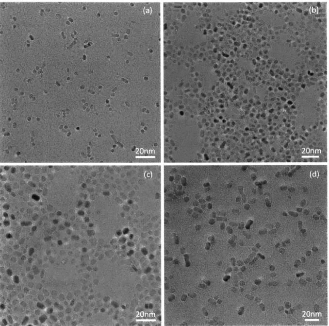 Figure 24.  TEM micrographs  for  titania nanocrystals  synthesized  for 8hr at  (a)  175  C,  (b) 200 0 C,  (c) 225 0 C,  and  (d)  250'C.