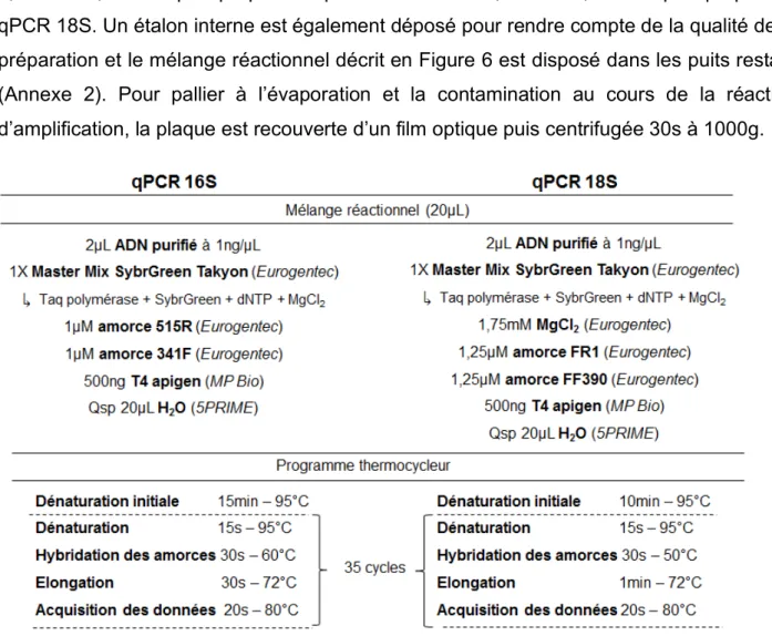 Figure  6.  Mélanges  réactionnels  et  programmes  du  thermocycleur  pour  la  caractérisation de la densité bactérienne (qPCR 16S) et fongique (qPCR 18S)