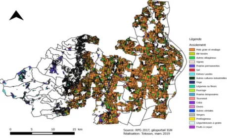 Figure 1: Répartition de l’assolement des groupes de cultures dominants : Territoire RVGB (RPG 044, 2017) 