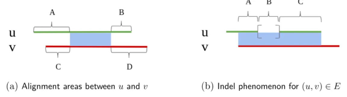 Figure 2.1: u and v are two reads aligned each other by MINIMAP2. In (2.1a): the alignment area - -so the nucleotide similarity between u and v, is represented by the blue colour; A, B, C and D are integers and represent the length of areas whose u and v n