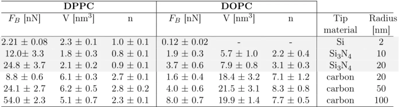 Table 2: Rupture force (F B ), activation volume (V ) and associated number of molecules (n) for DPPC and DOPC membranes indented by silicon and carbon AFM tips, expressed as the mean value ± sem.