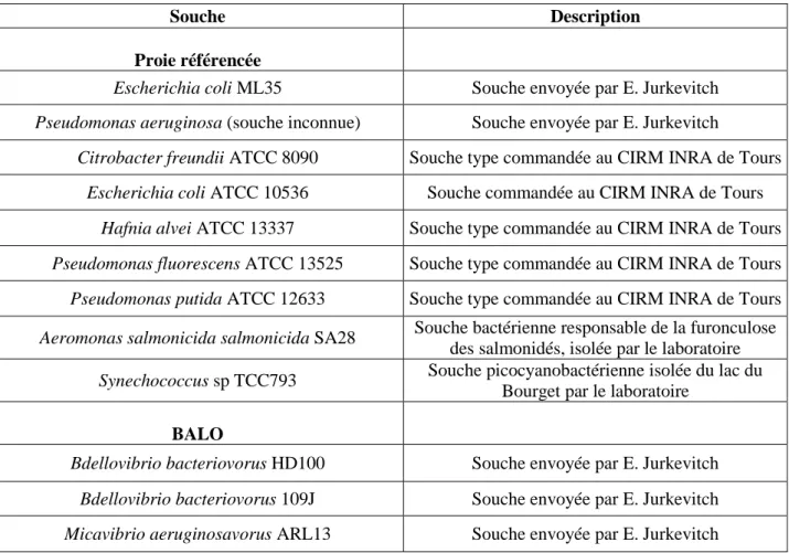 Tableau 2 : Composition des milieux et tampons utilisés pour la croissance des bactéries 