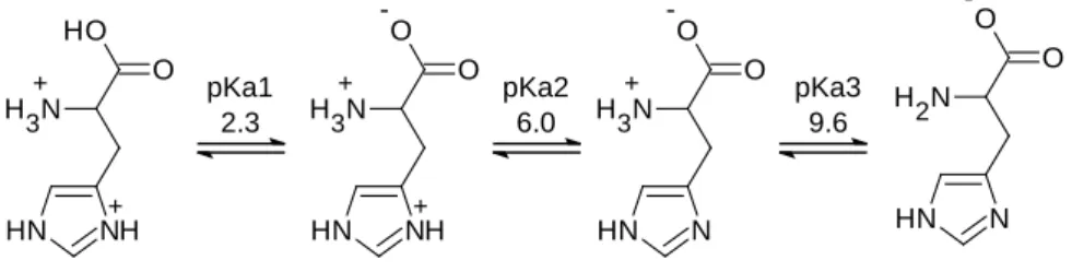 Figure 3. Histidine protonation steps. 
