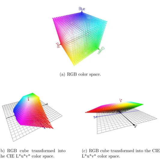 Figure 2.5: The (a) RGB color space and its transformation into the (b,c) CIE L*u*v* color space, which is shown from two different view points (generated by applying the software RGB Cube [Col06]).