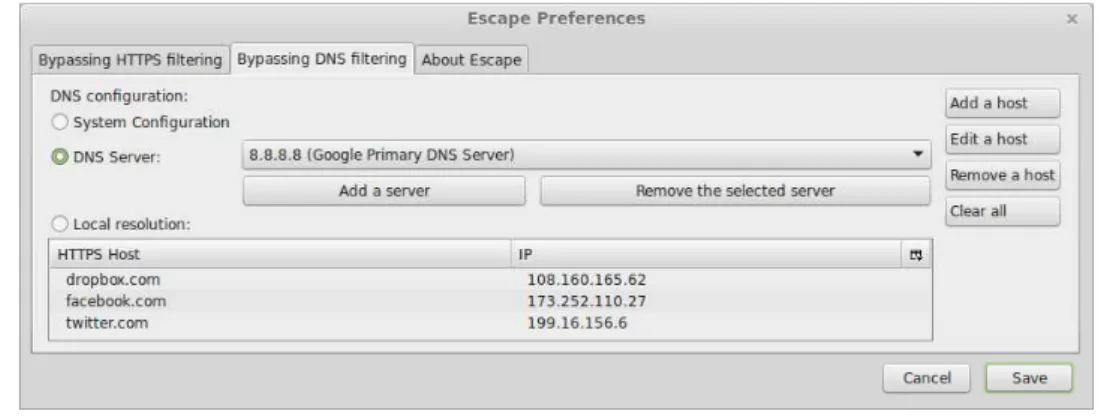 Figure 3.6 – Extension : onglet « Bypassing DNS ﬁltering »