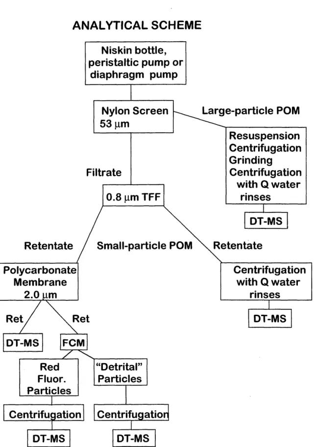 Fig. 2.1.  Analytical  scheme for oceanic  large-particle  and small-particle  POM.