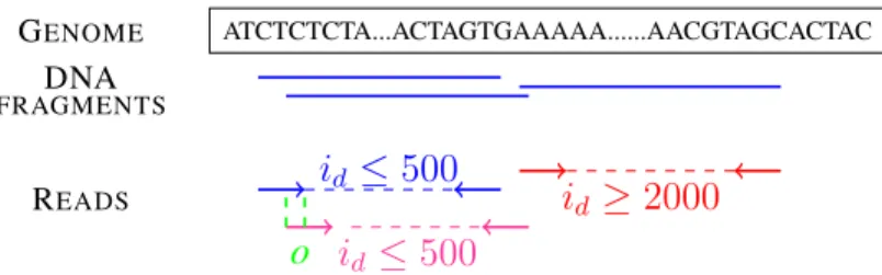 Figure 1: Alignment of paired reads on fragmented DNA molecules obtained from the genome Figure 1 shows three pairs of reads