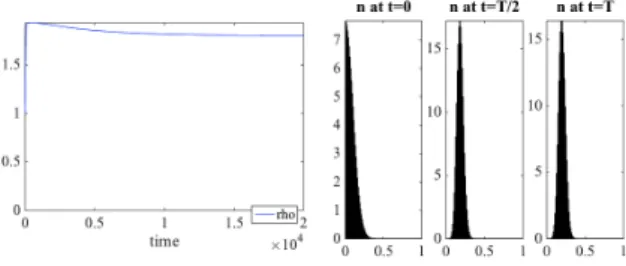 Figure 11: Numerical simulation of the solution to (1) without diffusion, and with lower advection.