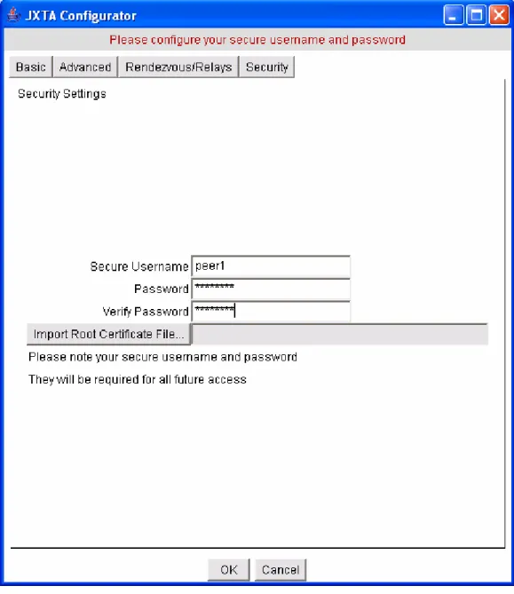 Figure 4.5: PicSter Configuration Window 