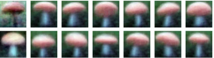 Figure 3. Evolution of mushrooms from g to f. (a): g k (x), (b):