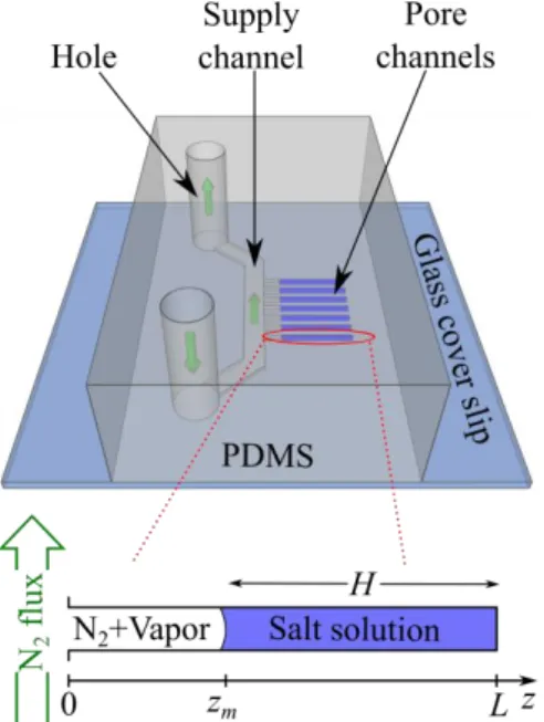 FIG. 1. (Color online) Schematic of the PDMS and glass microfluidic chip. Crystallization and  wall deformations are observed in the pore channels