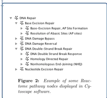 Figure 2: Example of some Reac- Reac-tome pathway nodes displayed in  Cy-toscape software.
