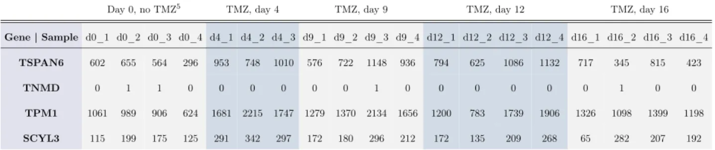 Table 1: First four rows of raw RNA-seq count data.