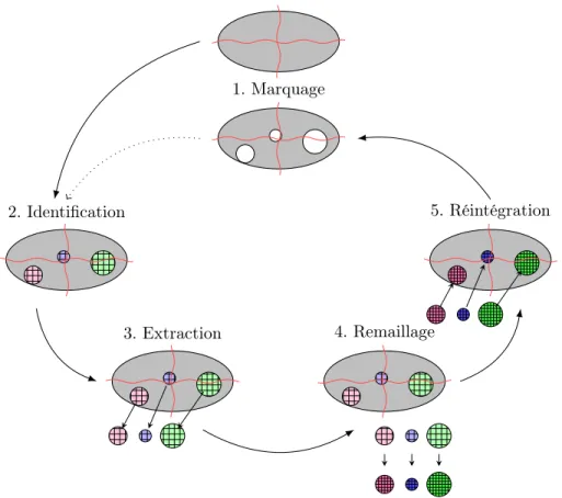 Figure 1.2 – Processus itératif en cinq étapes