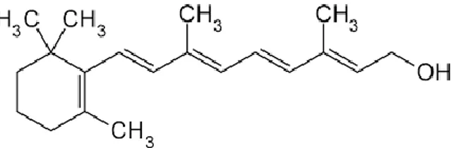 Figure 1a :  Structure chimique du rétinol  d’apr  s pub  hem  N  BI  La molécule de rétinol  est composée de trois fonctions ou groupes chimiques caractéristiques  avec de gauche à  droite :  un  cycle  à  six  carbones  et  une  double  liaison  (cyclohe