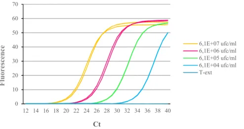 Figure 5. Détection du gène nuc par PCR en temps réel avec le Light Cycler 480 II (Utilisation de la  chimie SybrGreen) à partir de l’extrait obtenu par la méthode semi-automatisée MagNA Pure LC DNA  Isolation Kit III (Bacteria, Fungi) (Roche)