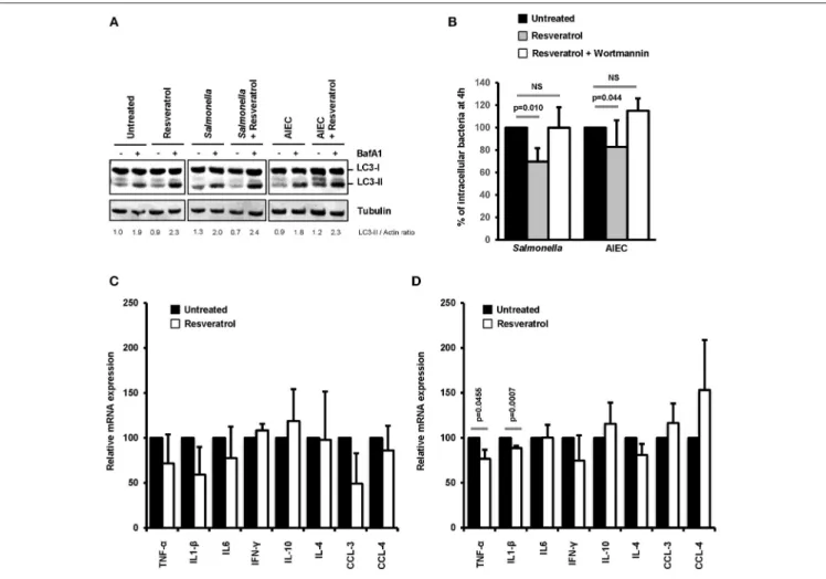 FIGURE 6 | Trans-resveratrol treatment restrains the number of intramcrophagic bacteria and slows down the inflammatory response of infected cells