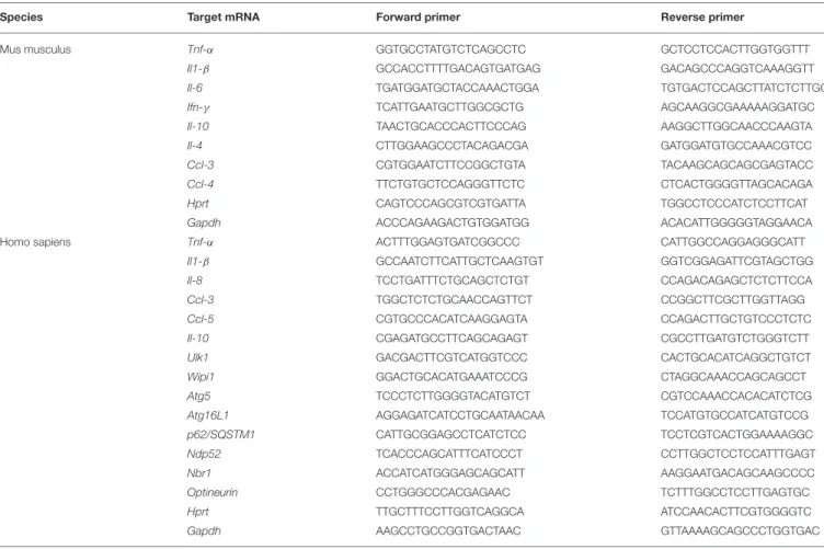 TABLE 1 | List of primer sequences used for RT-PCR analysis in this study.