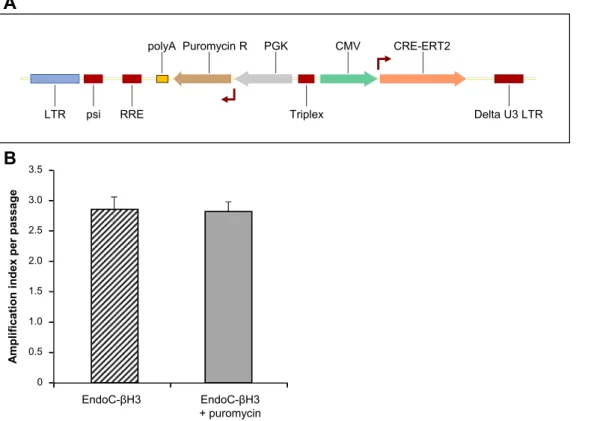 Figure 1: Production of EndoC- b H3 cells a Tamoxifen inducible excisable human beta cell line derived from EndoC- b H2