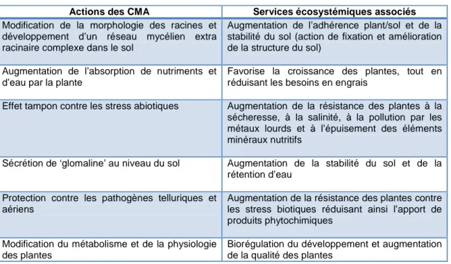 Tableau 1 : Services écosystémiques  rendus par les CMA, inspiré de Smith &amp; Read (2008) 