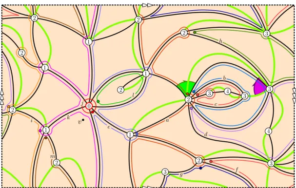 Figure 9: The Chapuy–Doł˛ega bijection, from a well-labeled unicellular map to a pointed bipartite quadrangulation.