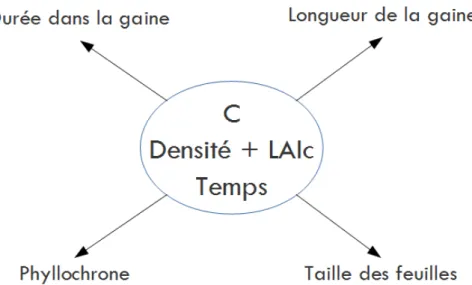 Figure 5 : Schéma de construction de méta-modèles en cascadeFigure 4 : Schéma de construction de méta-modèles de type  direct