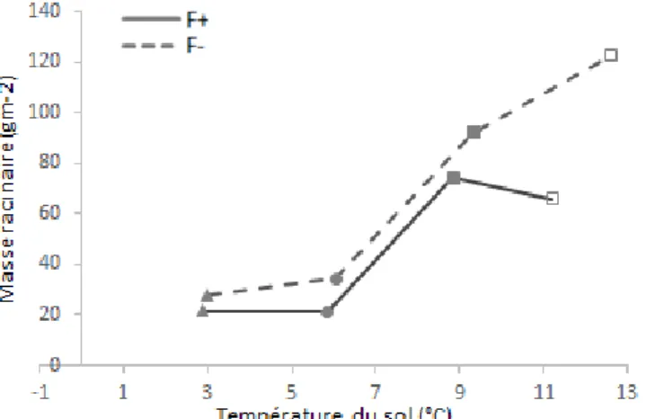 Fig. 6- Masse racinaire (g m -2 ) mesurée au cours des quatre périodes de mesures en fonction de la température moyenne journalière du  sol