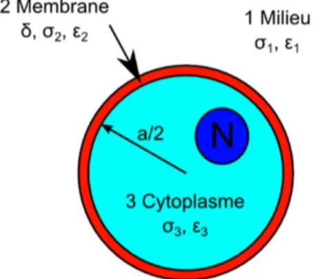 Figure 1. Single shell model of a mamalian cell with dielectric parameters annoted.